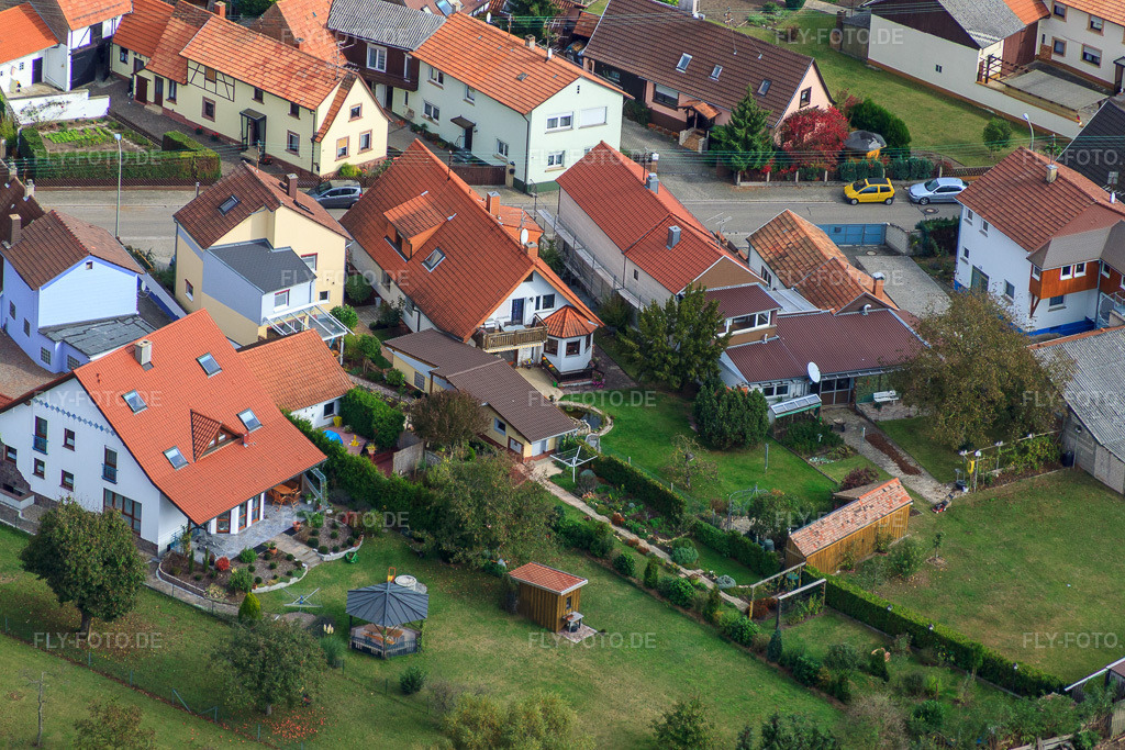 Luftbild: Im Leisengarten in Minfeld im Bundesland Rheinland-Pfalz in Deutschland. Foto: IMG_22554.jpg vom 15.10.2009 durch Werner Riehm/FLY-FOTO.de