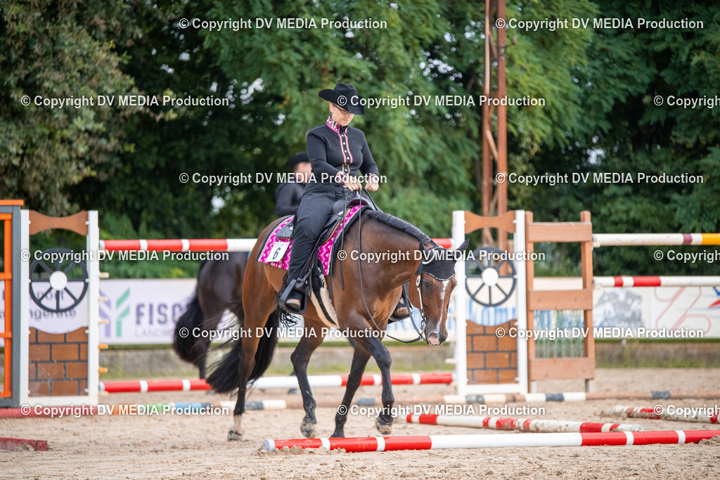 ZS3_4593 | dv-media-shop - Realisiert mit Pictrs.com