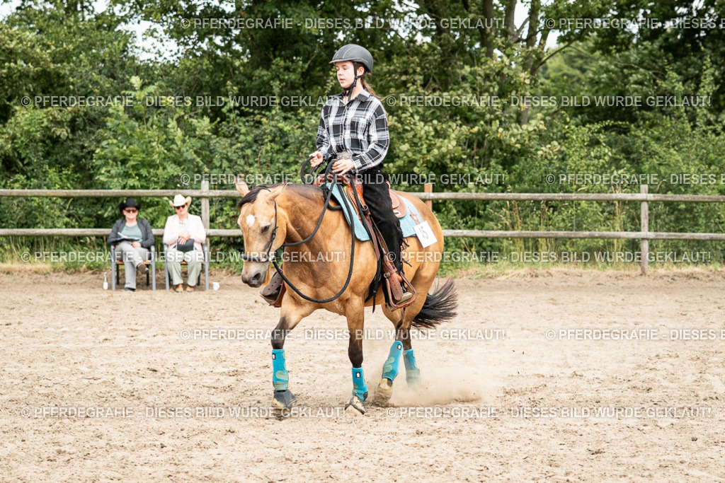 DSC01452 | Pferdegrafie