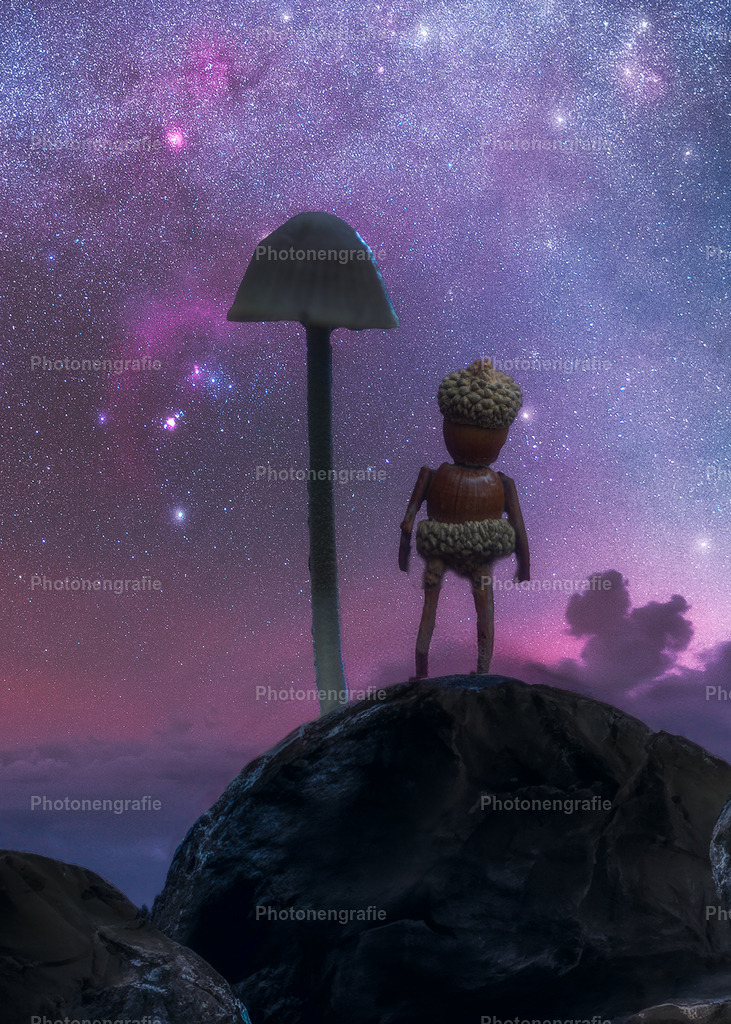 Manni_Buch | Photonengrafie´s Shop - Realisiert mit Pictrs.com