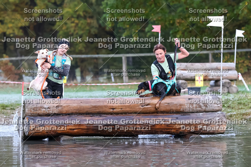 Dog Paparazzi - Strongdog 10-25-6233 | Dog Paparazzi Jeanette Grottendiek Fotografie & Videografie - Realisiert mit Pictrs.com