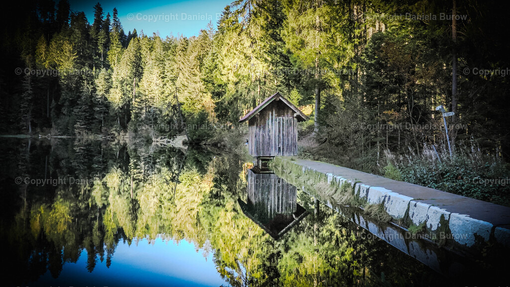 PA271448 | danielaburow - Realisiert mit Pictrs.com