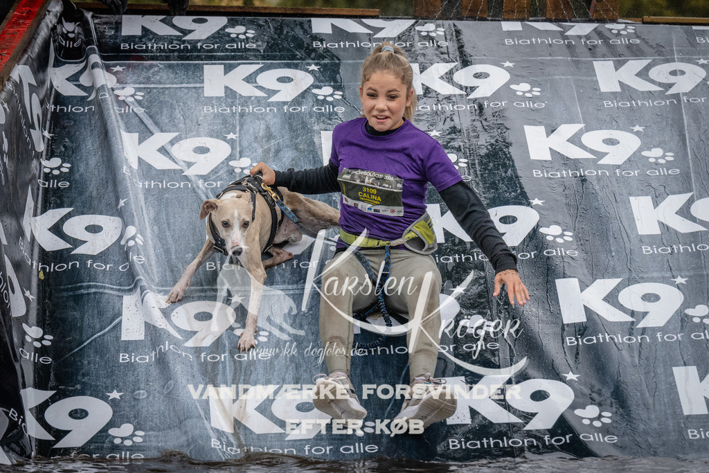 1155_ZZ93888 | kk-dogfotos