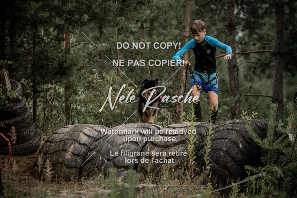 nelerasche_sa1100-1200_332 | nelerasche