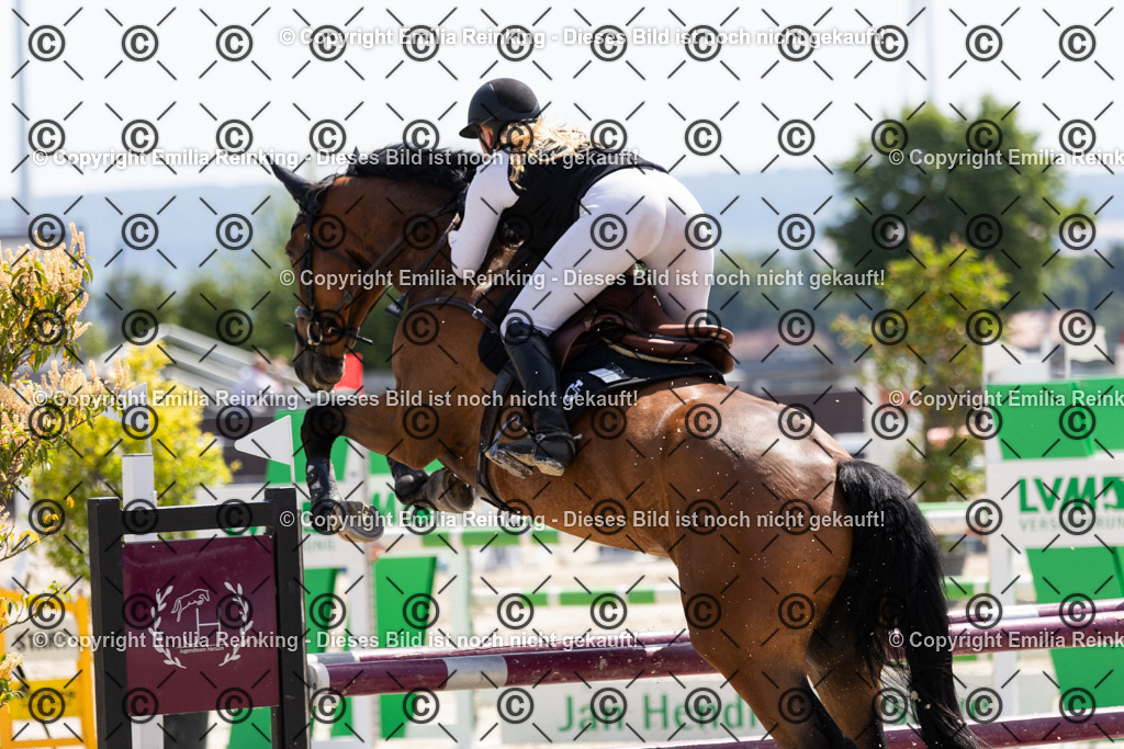 CL5A0830 | Emilia Reinking Fotografie - Realisiert mit Pictrs.com