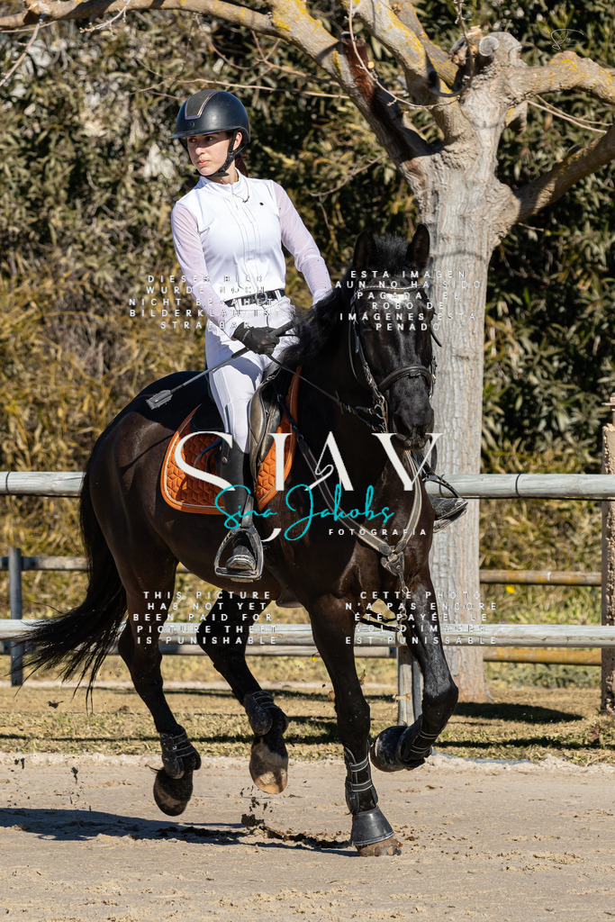 IMG_8309 | s-jay-photography - Realisiert mit Pictrs.com