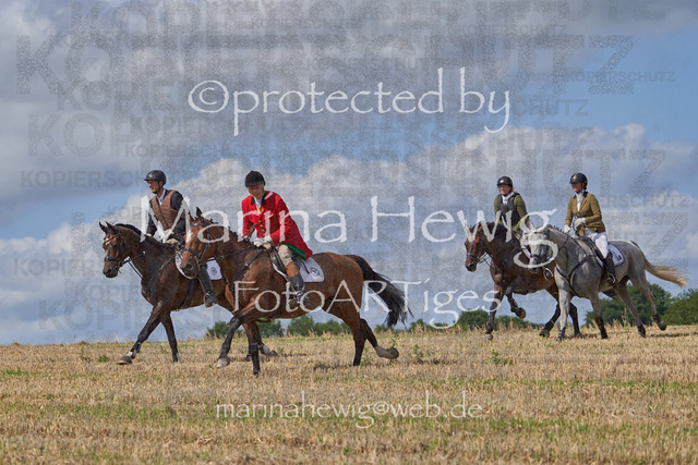 _MCH8478_Marina Hewig | Fotografie, FotoArt, PferdesportArt, Pferdesportfotografie, Landschaftsfotografie, Reisefotografie, Reise, Pferde - Realisiert mit Pictrs.com