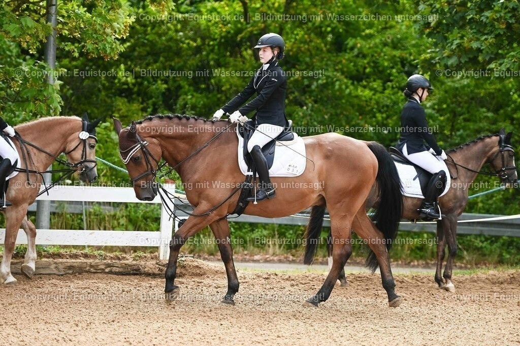 20230716_10-1_Reiter-WB Schritt - Trab - Galopp_0080 | equistock