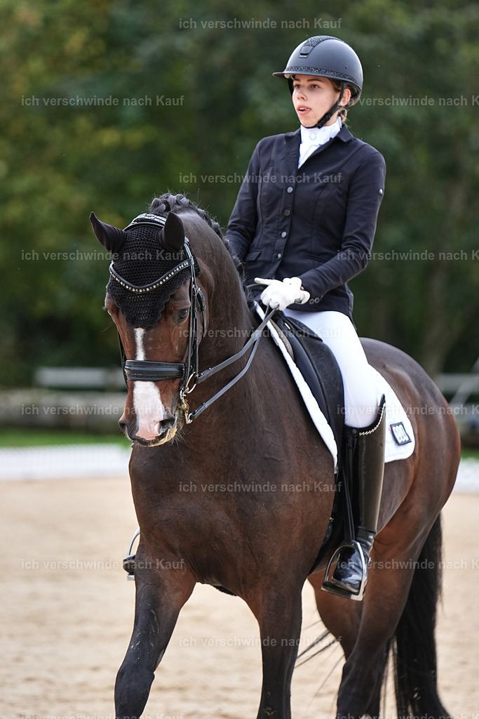 3-224-Dressur M_-Marixx-2012 | working equitationturnier fotograf videograf stoibphotography marixx film working equitation deutschland reitsport turnierfotografie eventfotografie equestrian events