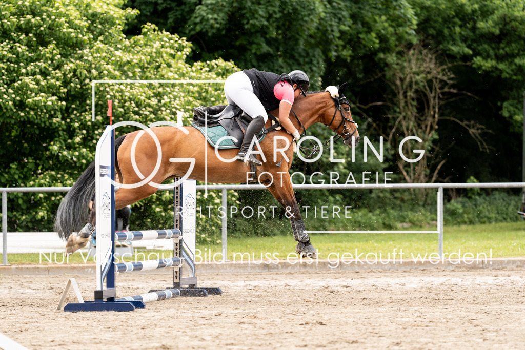 DSC08744 | Carolin Gieschke