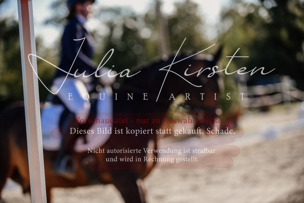 DSC_0655 | Pferde- und Turnierfotografie in Westsachsen. Pferdeportraits, Auftragszeichnungen und intuitive Kunst.