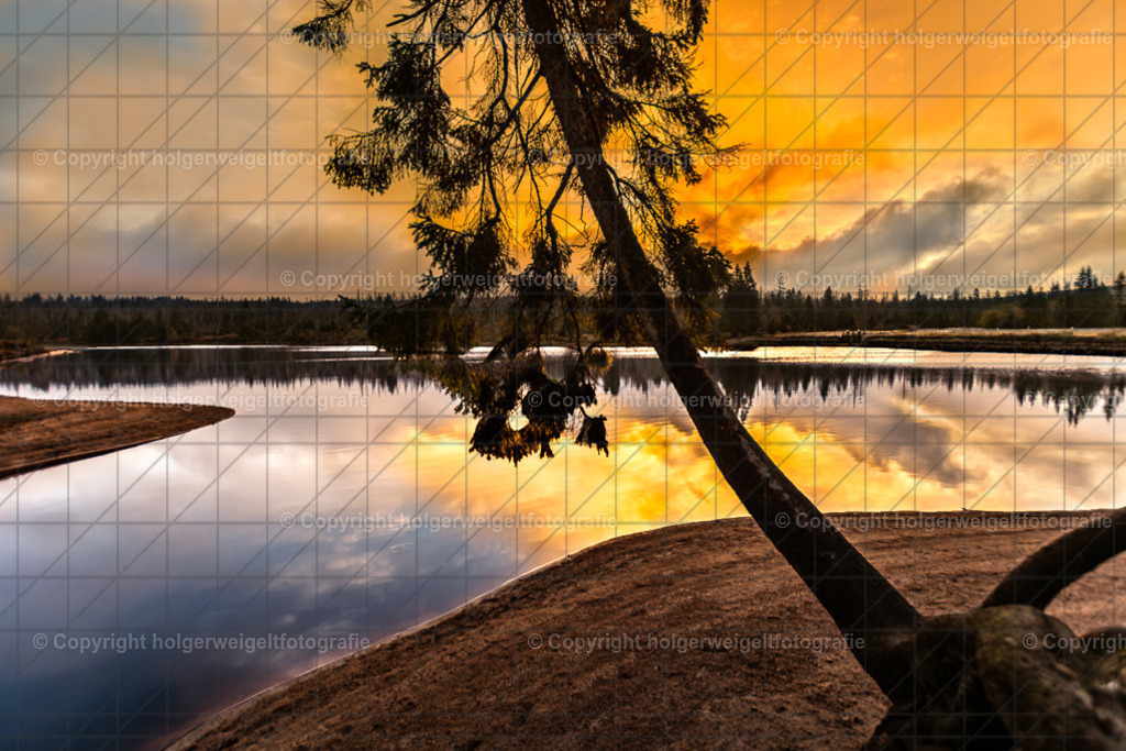 20210928072522D75_7768-2 | Kaufen sie online außergewöhnliche Fotografien auf Leinwand Acrylglas Fotoprint Aludibond von holgerweigeltfotografie - Realisiert mit Pictrs.com