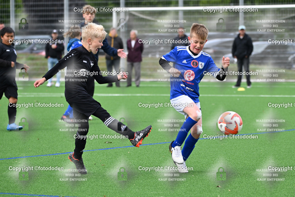 DSC_6889 | SG Sengwarden Fedderwarden (blau) / Eintracht Plaggenburg (schwarz)