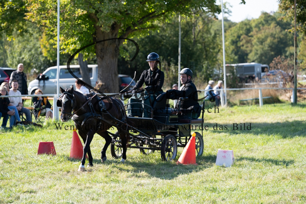 A7V04369 | Pferdefotograf