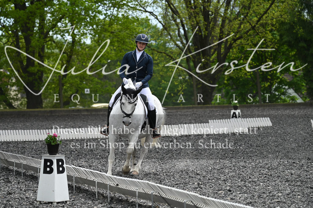 20230512_JK-Röhrsdorf-07-217 | Pferde- und Turnierfotografie in Westsachsen. Pferdeportraits, Auftragszeichnungen und intuitive Kunst.