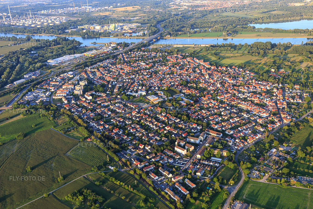 Luftbild: Ortsansicht von Südwesten im Ortsteil Maximiliansau in Wörth im Bundesland Rheinland-Pfalz in Deutschland. Foto: IMG_121045.jpg vom 23.07.2020 durch Werner Riehm/FLY-FOTO.de