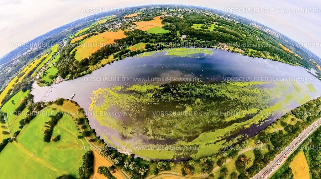 Bochum240790001KemnaderSeeElodea | Luftbild, Kemnader Stausee mit Elodea, Wasserpest, Algenblüte, Segelboote und Stand-Up Paddeler, Bochum, Nordrhein-Westfalen, Deutschland