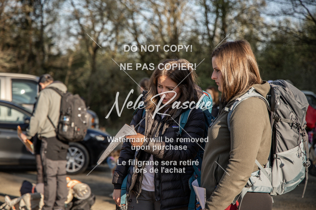 NR__0389-2 | nelerasche