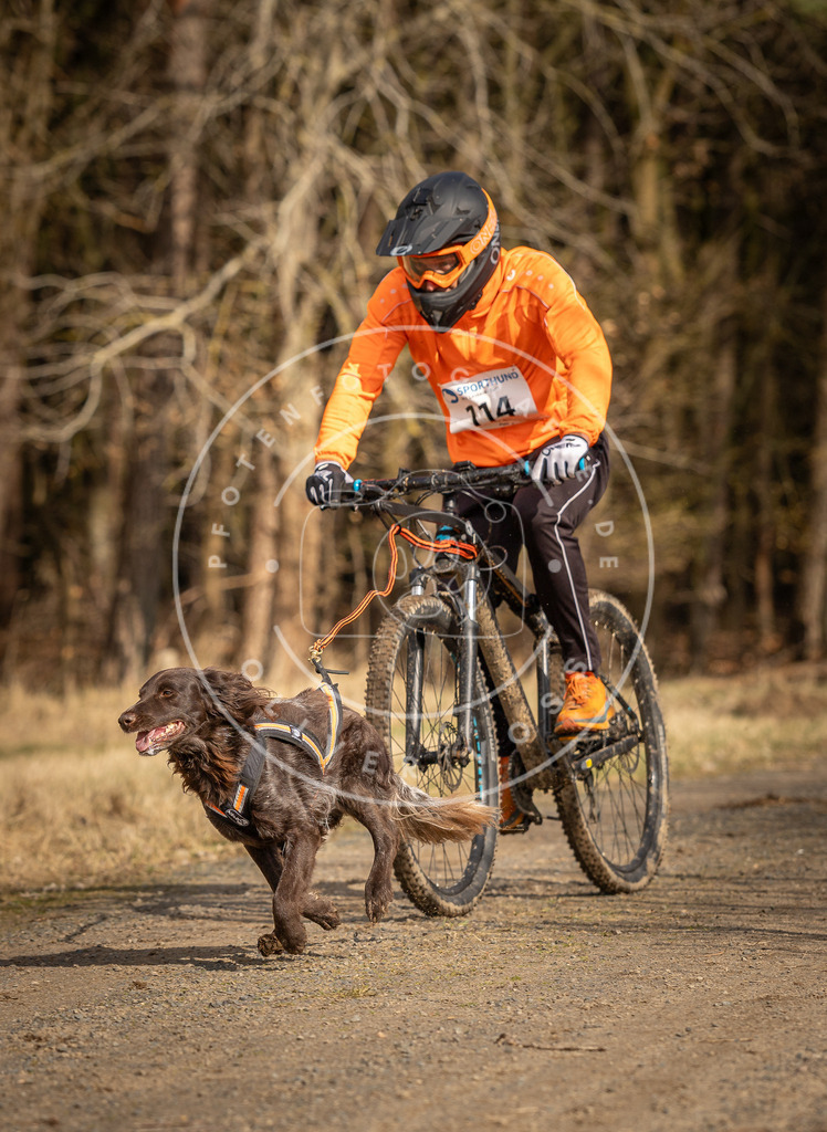 DV3A4463 | Hundefotografie, Tierfotograf, Pfotenfotografie, Fotoshooting Hund, Hunde Portrait, Hundesport, Hundeportraits, Heideshooting, Hunde, Sportfotograf, Hundefotograf, Turnierhundsport, THS,  - Realisiert mit Pictrs.com