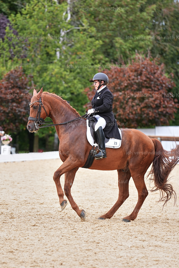 11-023-Dressur S___-Marixx-1689 | working equitationturnier fotograf videograf stoibphotography marixx film working equitation deutschland reitsport turnierfotografie eventfotografie equestrian events