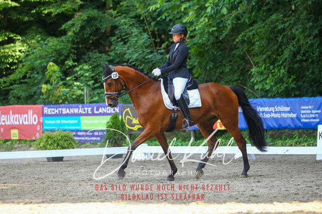 DKP42699 | Turniersportfotografie; Pferdefotografie; Dressurfotografie