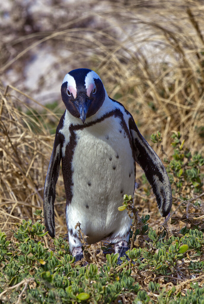 1H5A7896a | ansichtssache