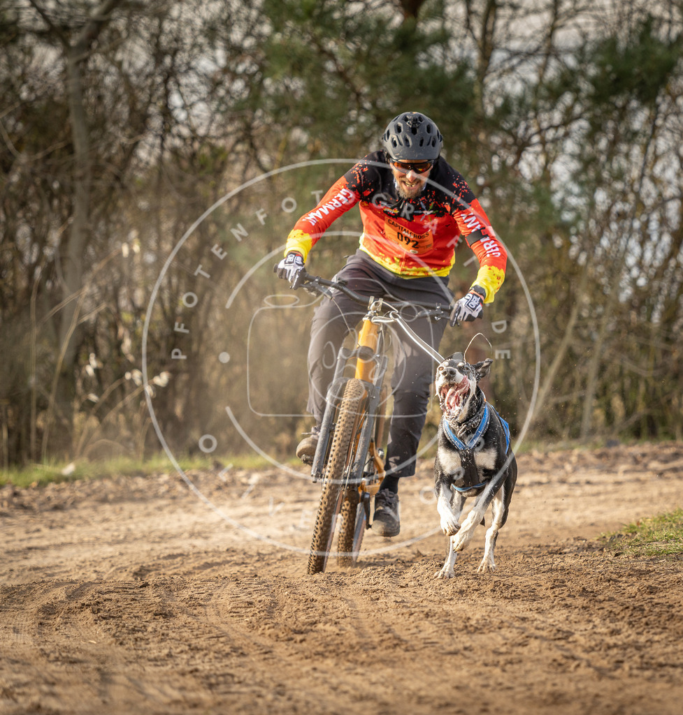 Pfotenfotografie_DV3A7542 | Hundefotografie, Tierfotograf, Pfotenfotografie, Fotoshooting Hund, Hunde Portrait, Hundesport, Hundeportraits, Heideshooting, Hunde, Sportfotograf, Hundefotograf, Turnierhundsport, THS,  - Realisiert mit Pictrs.com