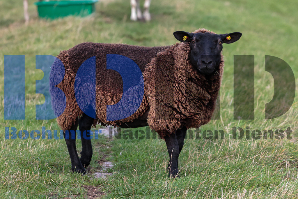 SES_EMDDIS20250920-7 | bond - Realisiert mit Pictrs.com