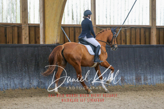 IMG_0493 | Turniersportfotografie; Pferdefotografie; Dressurfotografie