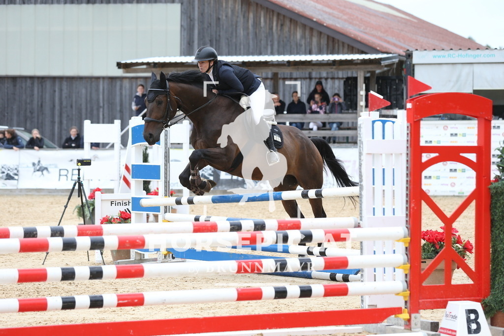 DL2Q5477 | Willkommen bei Brunnmayr - Design & Fotografie – Ihrem Spezialisten für Reitturniere und Pferdeveranstaltungen in Oberösterreich, Salzburg und Bayern! Seit über 17 Jahren sind wir leidenschaftlich dabei.