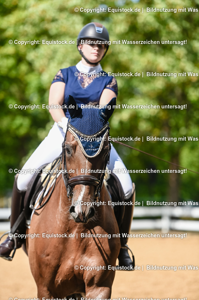 20230716_01_Dressurprüfung Kl.M_0358 | equistock