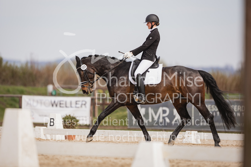 230410_Frühlingsfest_A-Dressur-465 | Deine schönsten Turniermomente als professionelle Fotos! Entdecke hochwertige Pferdesport-Fotografie im Online-Shop. Jetzt Fotos finden & bestellen!