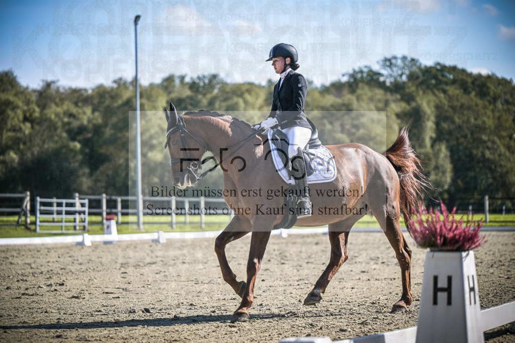 DOS_3034 | Entdecke hochwertige Reitturnierfotos von Foto Oger. Professionell, emotional und authentisch – jetzt Lieblingsmomente im Shop bestellen.Deutschlandweite Turnierfotografie. - Realisiert mit Pictrs.com