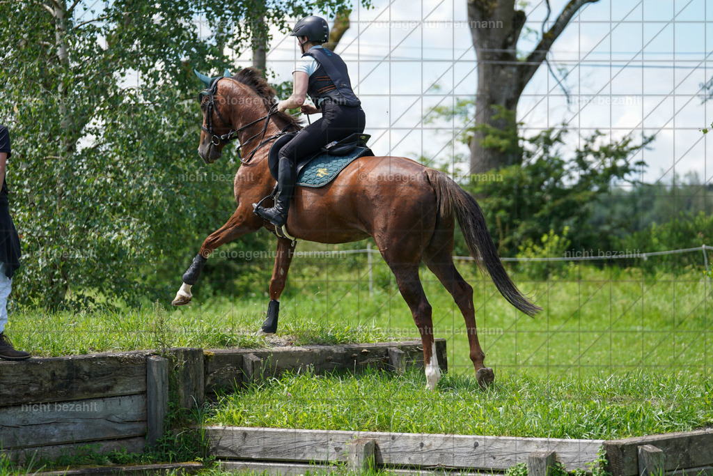 20240622-FAH06959 | Turnierfotografen Bayern, Reitsportbilder aus dem Geländekurs mit Felix Etzel auf dem Gut Waitzacker 2024