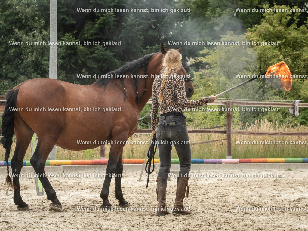 598A7591 | photographylinaismer - Realisiert mit Pictrs.com