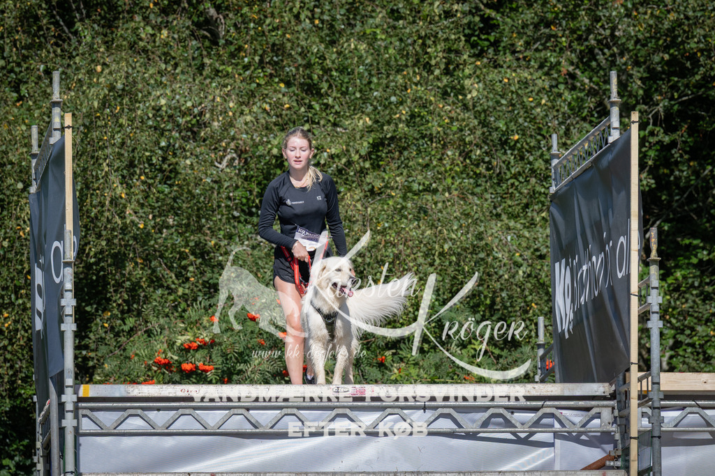 1026_ZZ98618 | kk-dogfotos