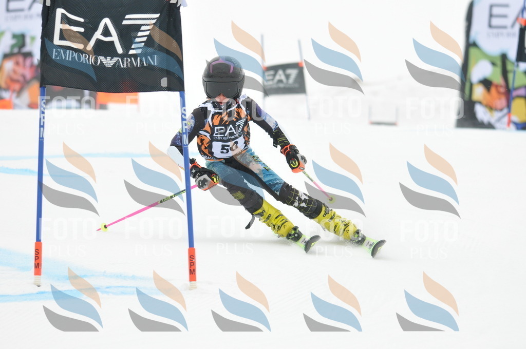 DSC_7713 | holidayphoto