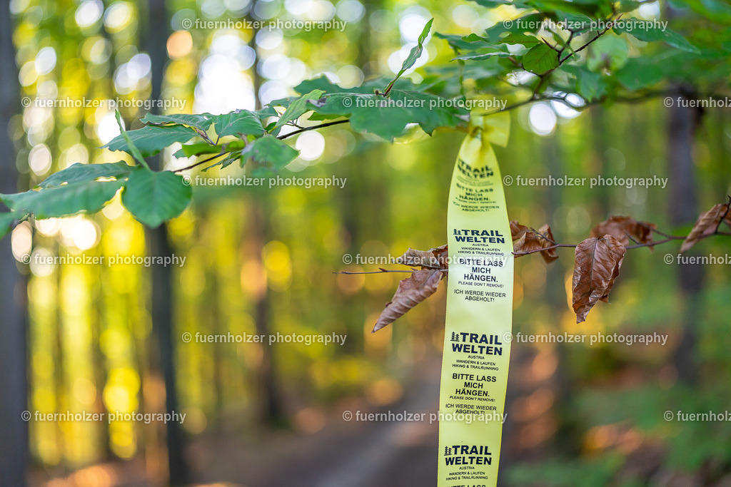 fuernholzer_251004-C3-139 | © Christian Fuernholzer | fuernholzer photography