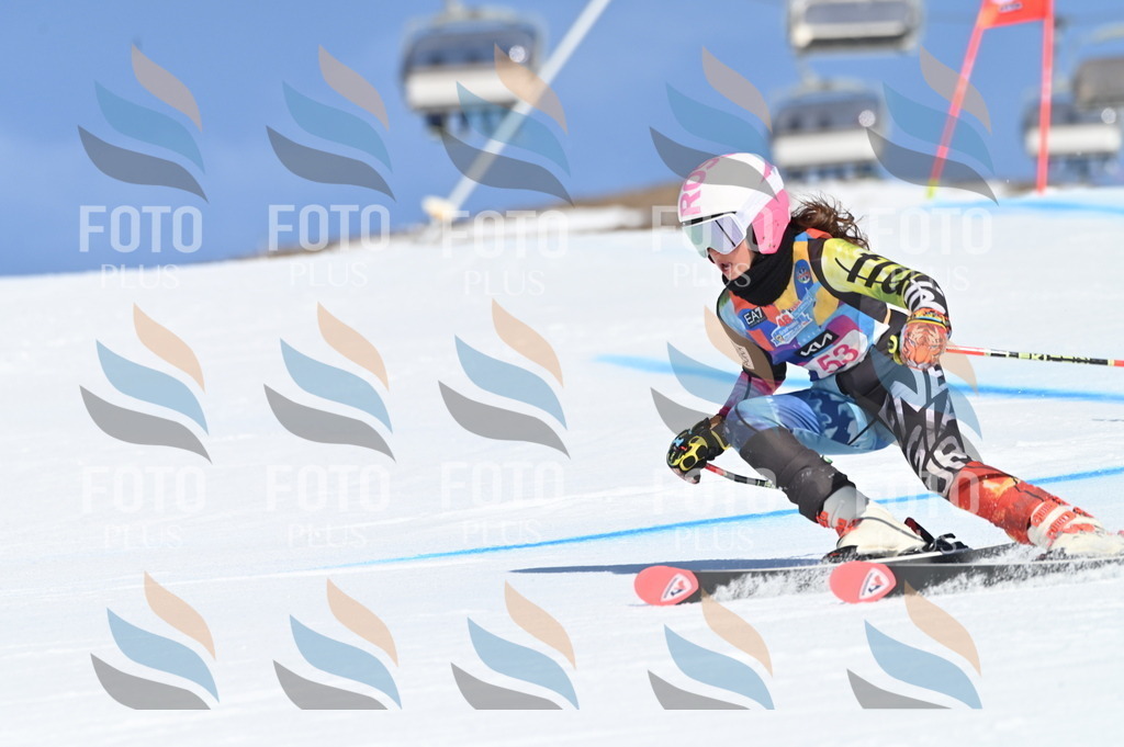 BGV_8596 | holidayphoto