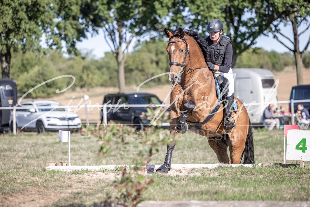 20260906-_3LI1986 | Tierfotografie Pferde, Hunde, Katzen, Haustiere.
Turnierfotografie Reitturniere, Reiten, Springreiten, Dressur in Hanau, dem Main-Kinzig-Kreis und dem Rhein-Main- Gebiet um Frankfurt