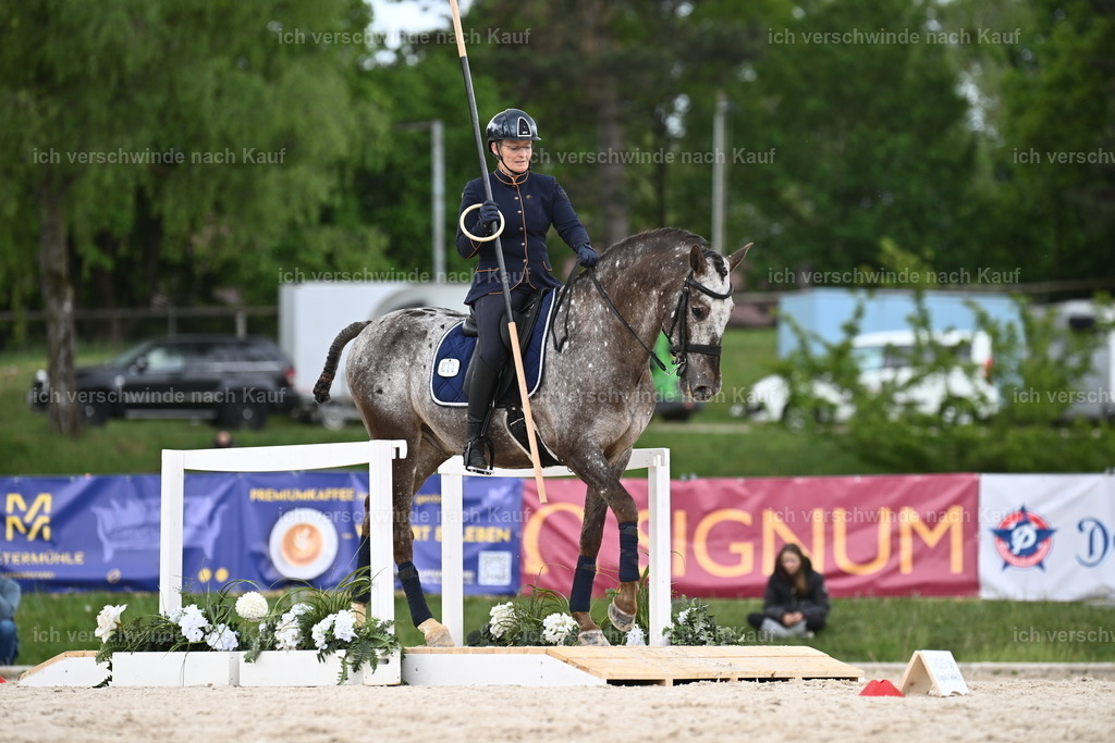 PI26_ST_Sara_Landvogt226_3286.JPG | working equitationturnier fotograf videograf stoibphotography marixx film working equitation deutschland reitsport turnierfotografie eventfotografie equestrian events