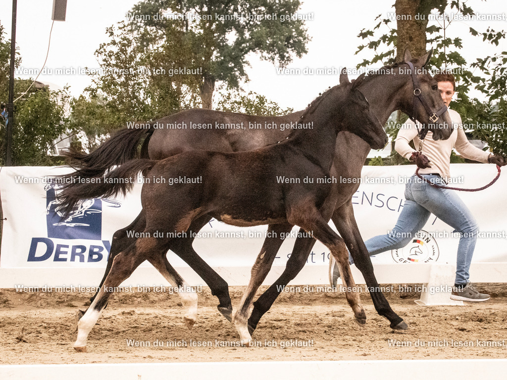 A10I1713 | photographylinaismer - Realisiert mit Pictrs.com