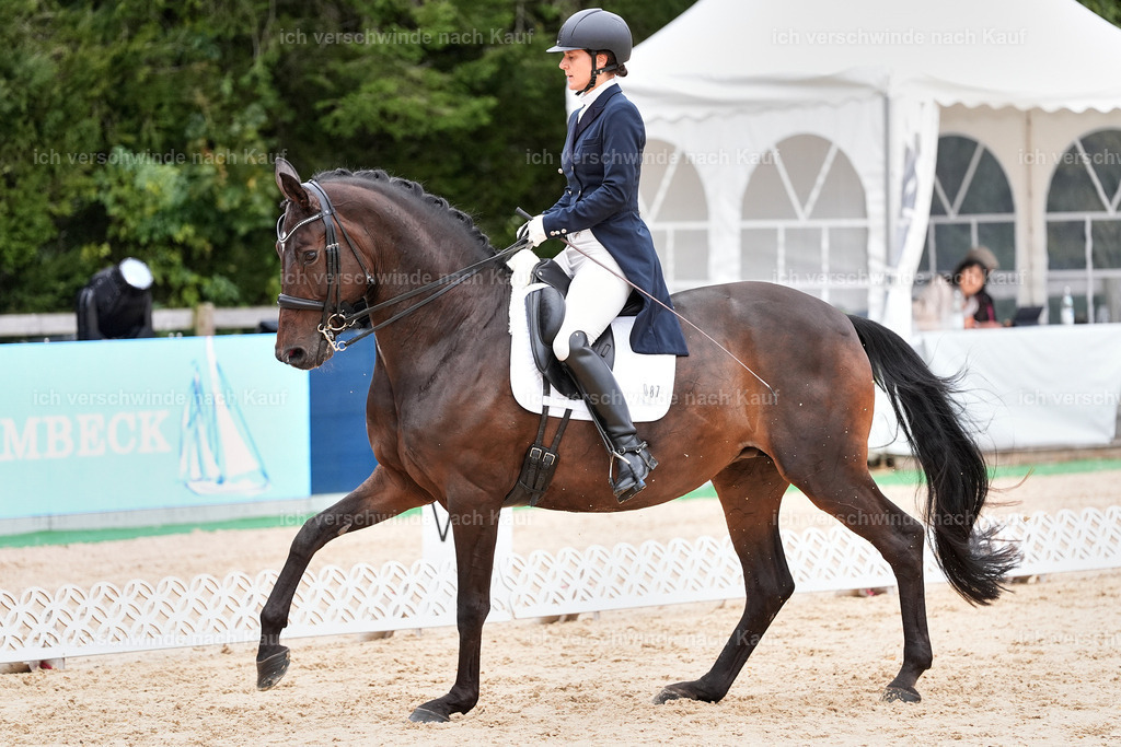 8_1-087-Klasse S_  -StoibPH-3839 | working equitationturnier fotograf videograf stoibphotography marixx film working equitation deutschland reitsport turnierfotografie eventfotografie equestrian events