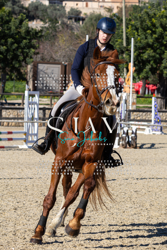 IMG_2047 | s-jay-photography - Realisiert mit Pictrs.com