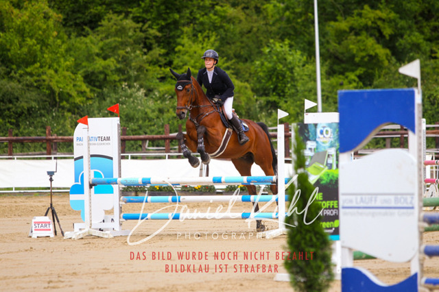 DKP41551 | Turniersportfotografie; Pferdefotografie; Dressurfotografie