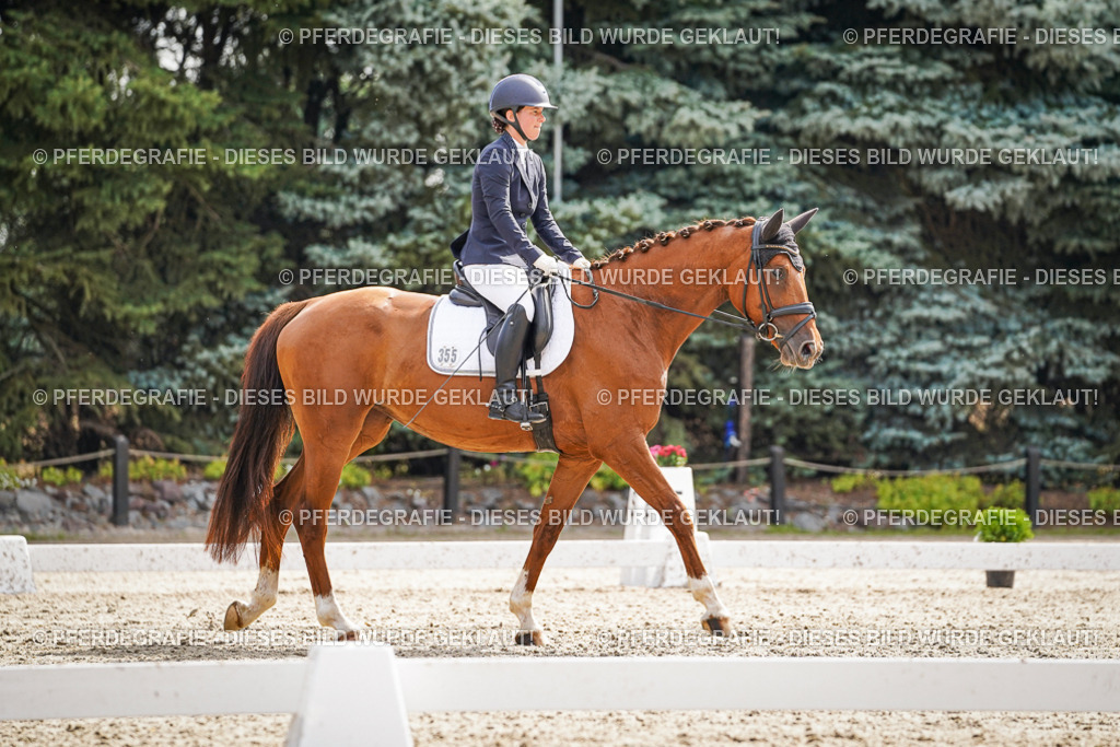 DSC07522 | Pferdegrafie