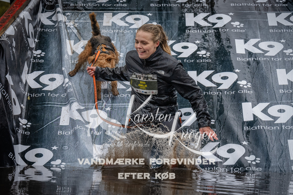 1154_ZZ93817 | kk-dogfotos