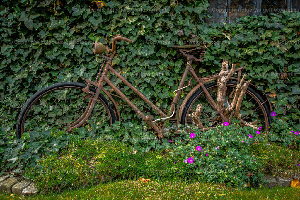 20221008085036D75_0693 | Kaufen sie online außergewöhnliche Fotografien auf Leinwand Acrylglas Fotoprint Aludibond von holgerweigeltfotografie - Realisiert mit Pictrs.com