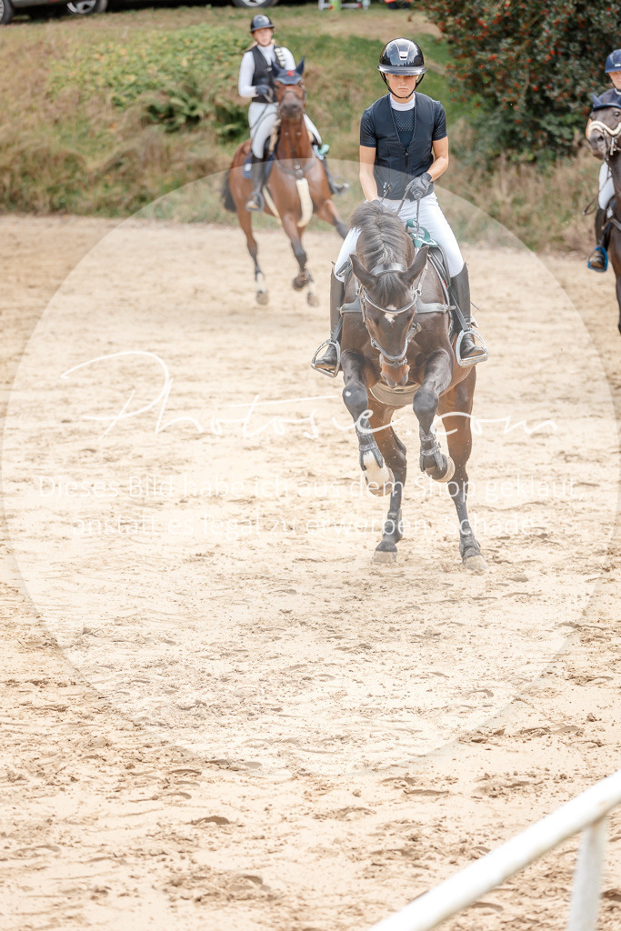 3I6A5382 | Stimmungsvolle Portraits und Reitsportfotografie im Ruhrgebiet und im Münsterland.

Pferdefotografie, Hundefotografie, Tierfotografie, Reportagen, Portraits von Tier und Mensch, Turnierfotografie in Bochum, Recklinghausen, Marl, Haltern am See, Dülmen.. - Realisiert mit Pictrs.com