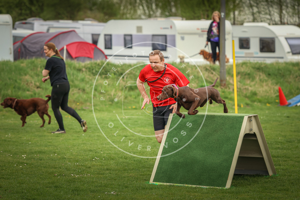 Pfotenfotografie_0L8A1135 | Hundefotografie, Tierfotograf, Pfotenfotografie, Fotoshooting Hund, Hunde Portrait, Hundesport, Hundeportraits, Heideshooting, Hunde, Sportfotograf, Hundefotograf, Turnierhundsport, THS,  - Realisiert mit Pictrs.com